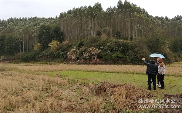 通化市陈老师带着爱徒寻龙点穴